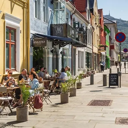 Dinbnb L 500m To Bryggen L Bathtub & New 2017 L Authentic Bergenshus Apartment